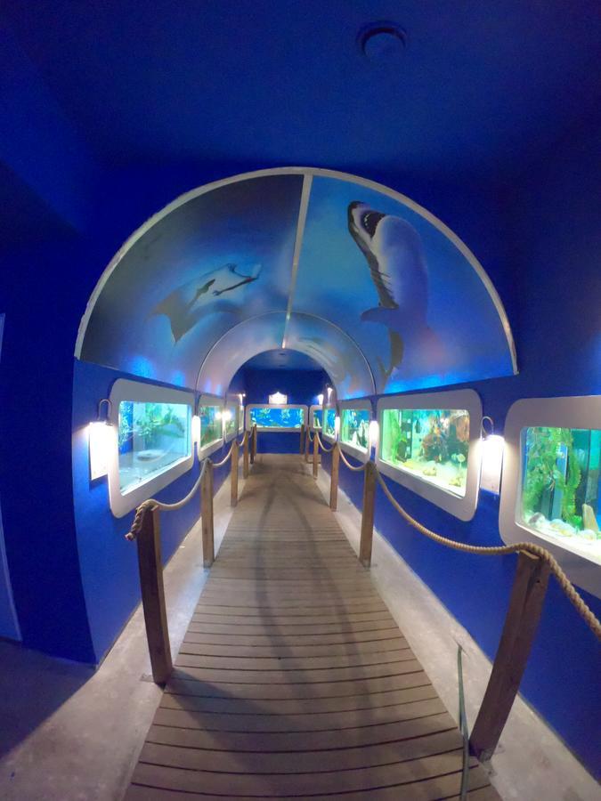 Dolphin House Bed & Breakfast Leba Ngoại thất bức ảnh